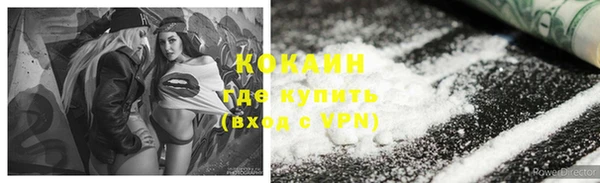 ПСИЛОЦИБИНОВЫЕ ГРИБЫ Абаза
