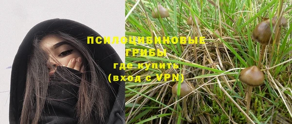 ПСИЛОЦИБИНОВЫЕ ГРИБЫ Абаза