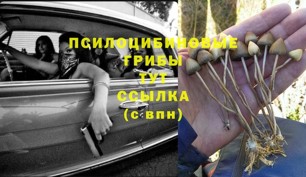 ПСИЛОЦИБИНОВЫЕ ГРИБЫ Абаза