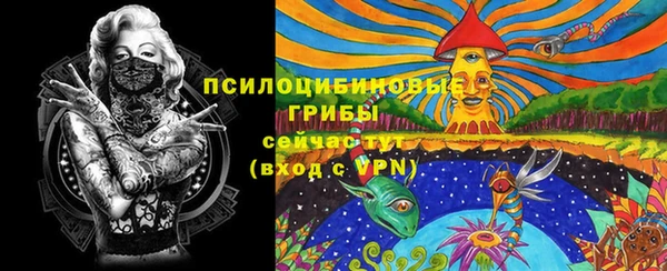 ПСИЛОЦИБИНОВЫЕ ГРИБЫ Абаза