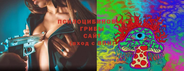 ПСИЛОЦИБИНОВЫЕ ГРИБЫ Абаза