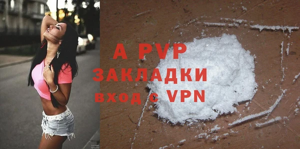 ПСИЛОЦИБИНОВЫЕ ГРИБЫ Абаза