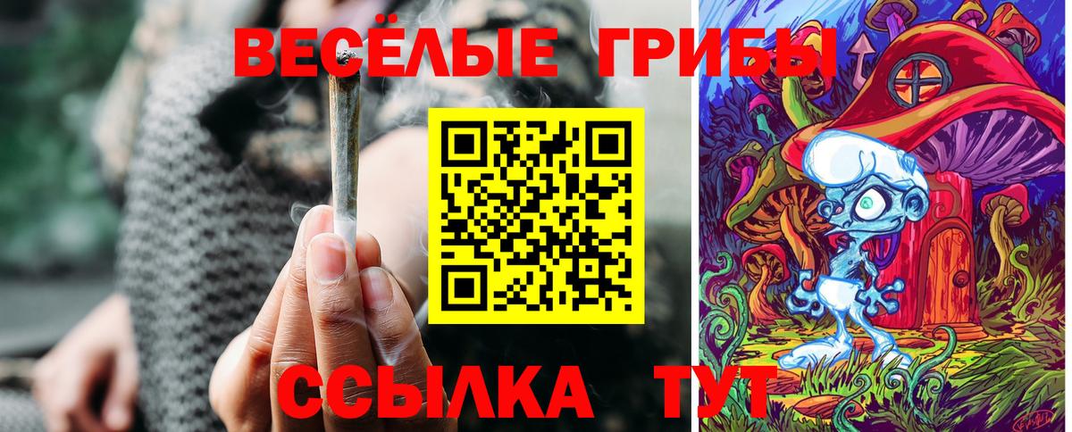 Галлюциногенные грибы мухоморы Стерлитамак